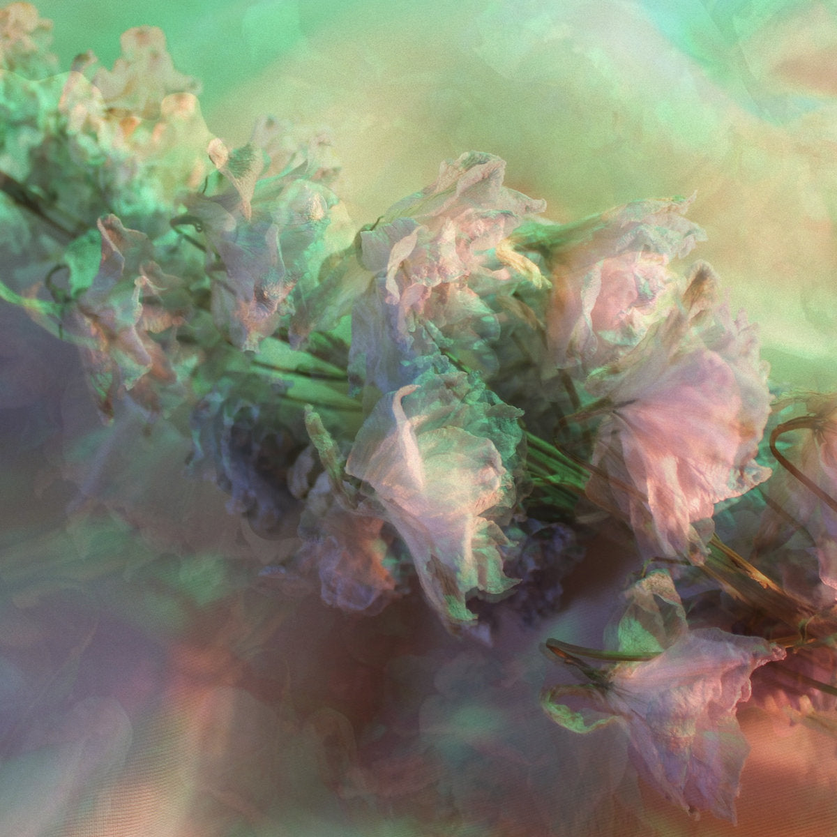 Joanna Mattrey - Dirge