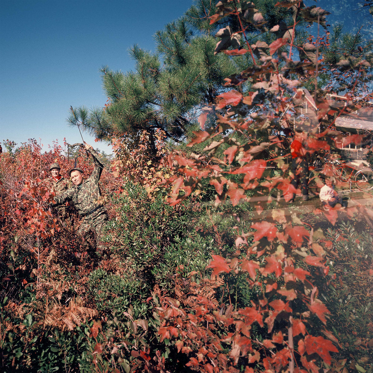 ylayali - separation