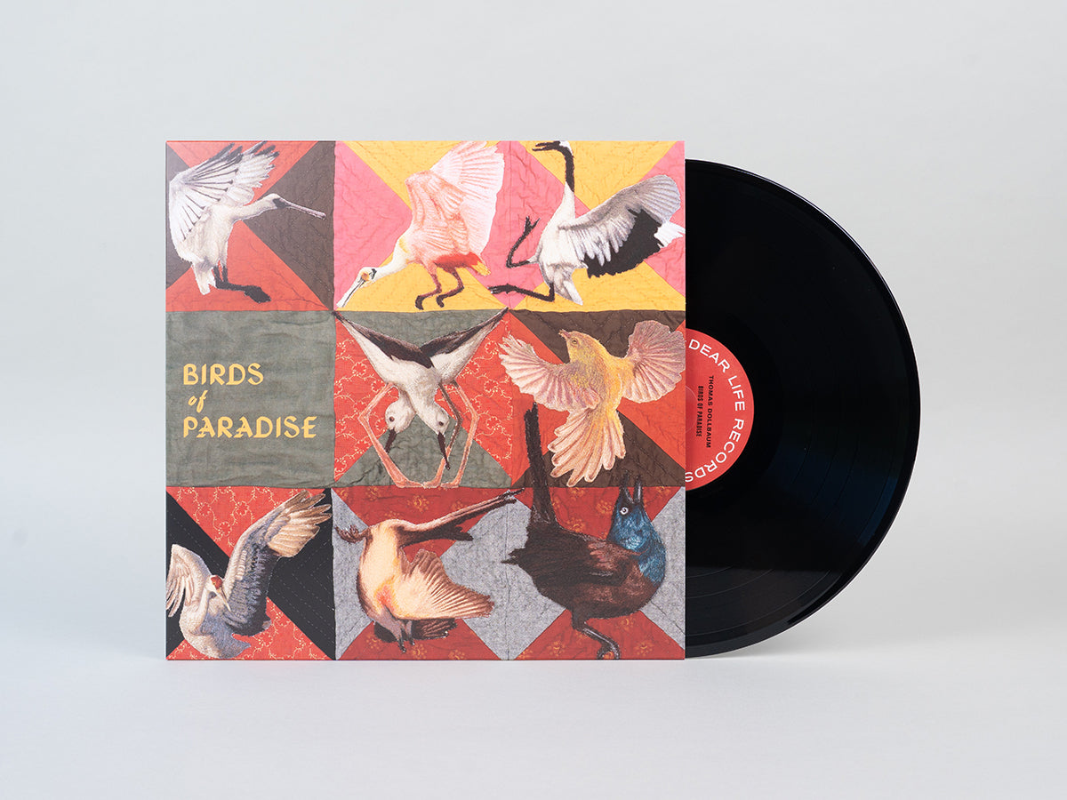 Thomas Dollbaum - Birds of Paradise