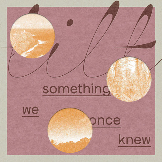 Tilt - Something We Once Knew (Black Vinyl)