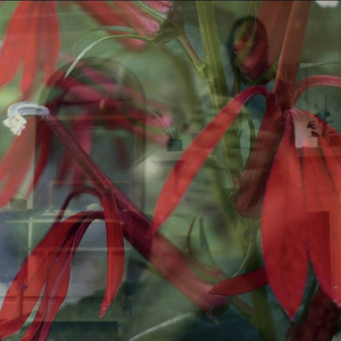 Emmalee Hunnicut - Picnic, Moonside