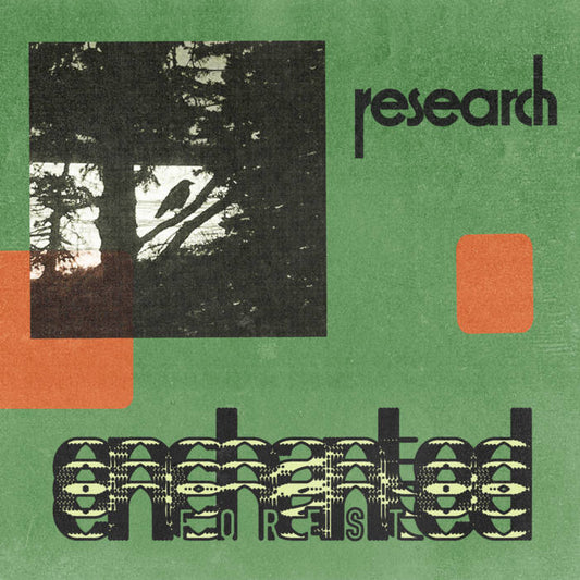 Enchanted Forest - Research