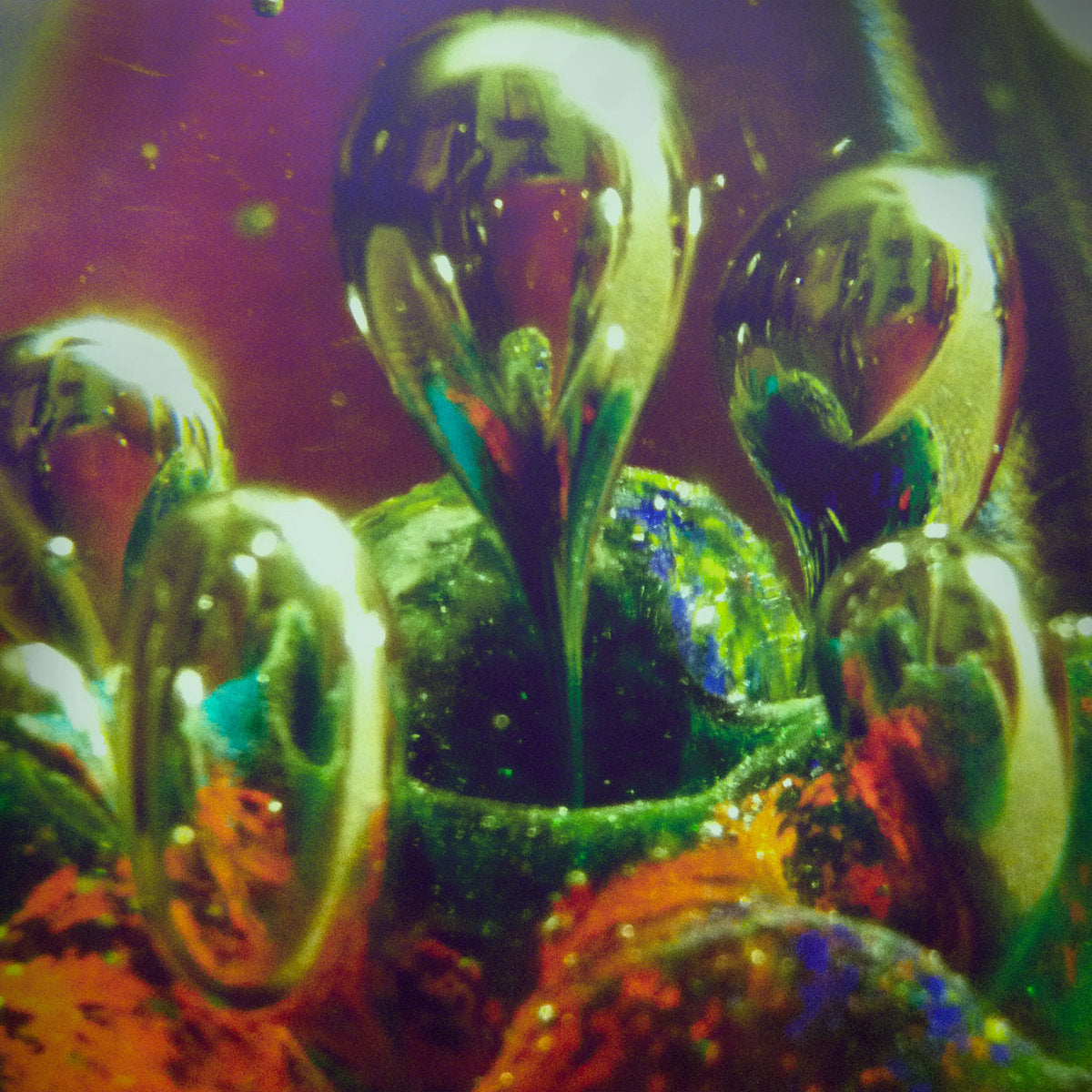 Erik Gundel - Level One Mage