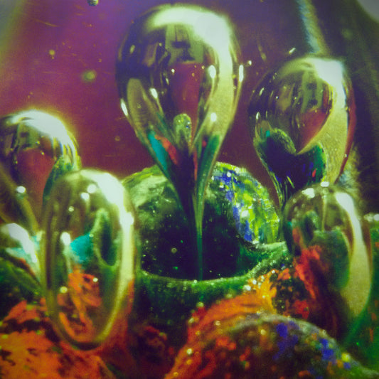 Erik Gundel - Level One Mage