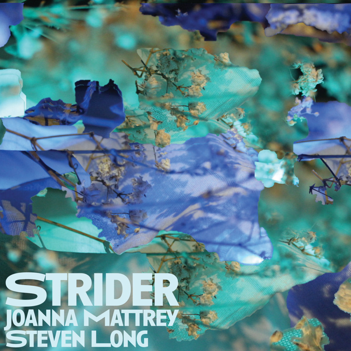 Joanna Mattrey & Steven Long - Strider