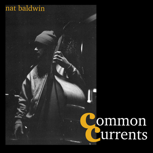 Nat Baldwin - Common Currents