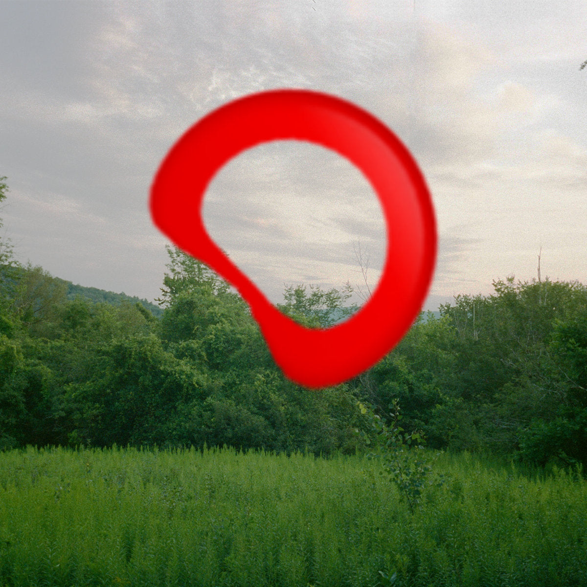 Wendy Eisenberg -  Bent Ring